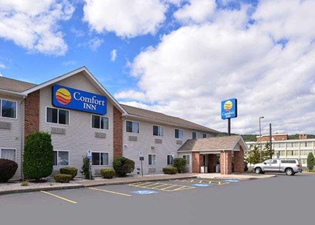 Quality & Hotel