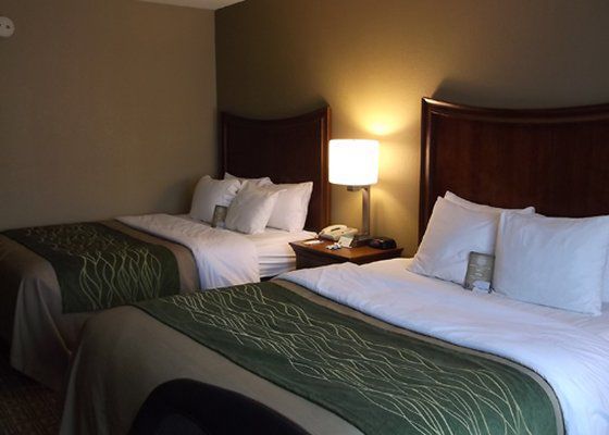 Quality & Hotel